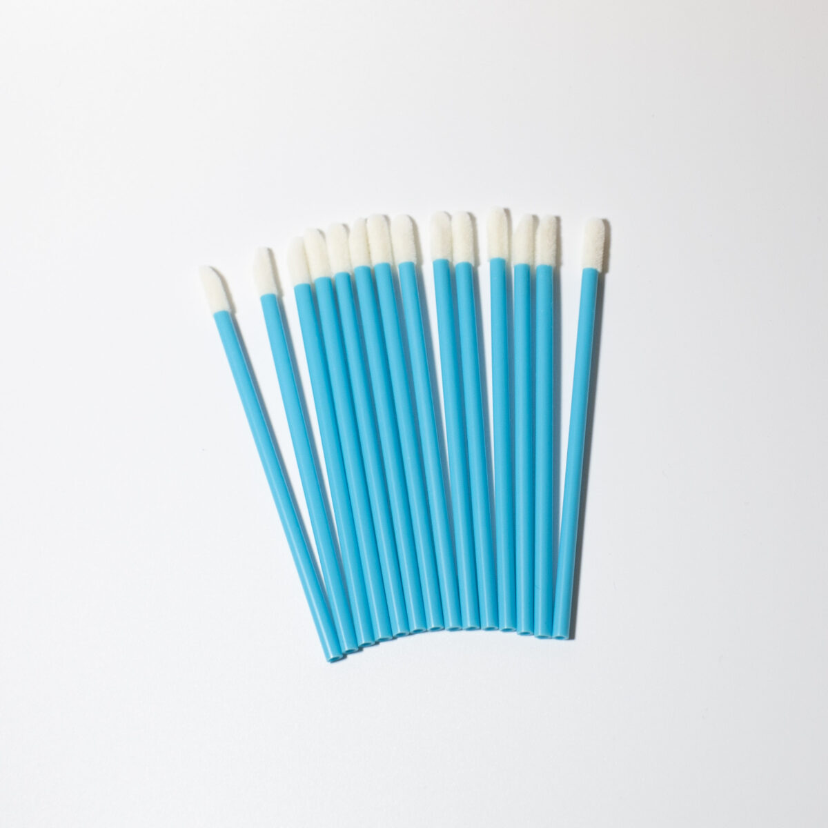Disposable Lip Brushes (Pack of 50)